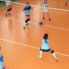 IMG_7017-1024