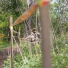 foto_226