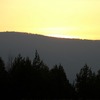 IMG_0553