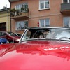 foto_231